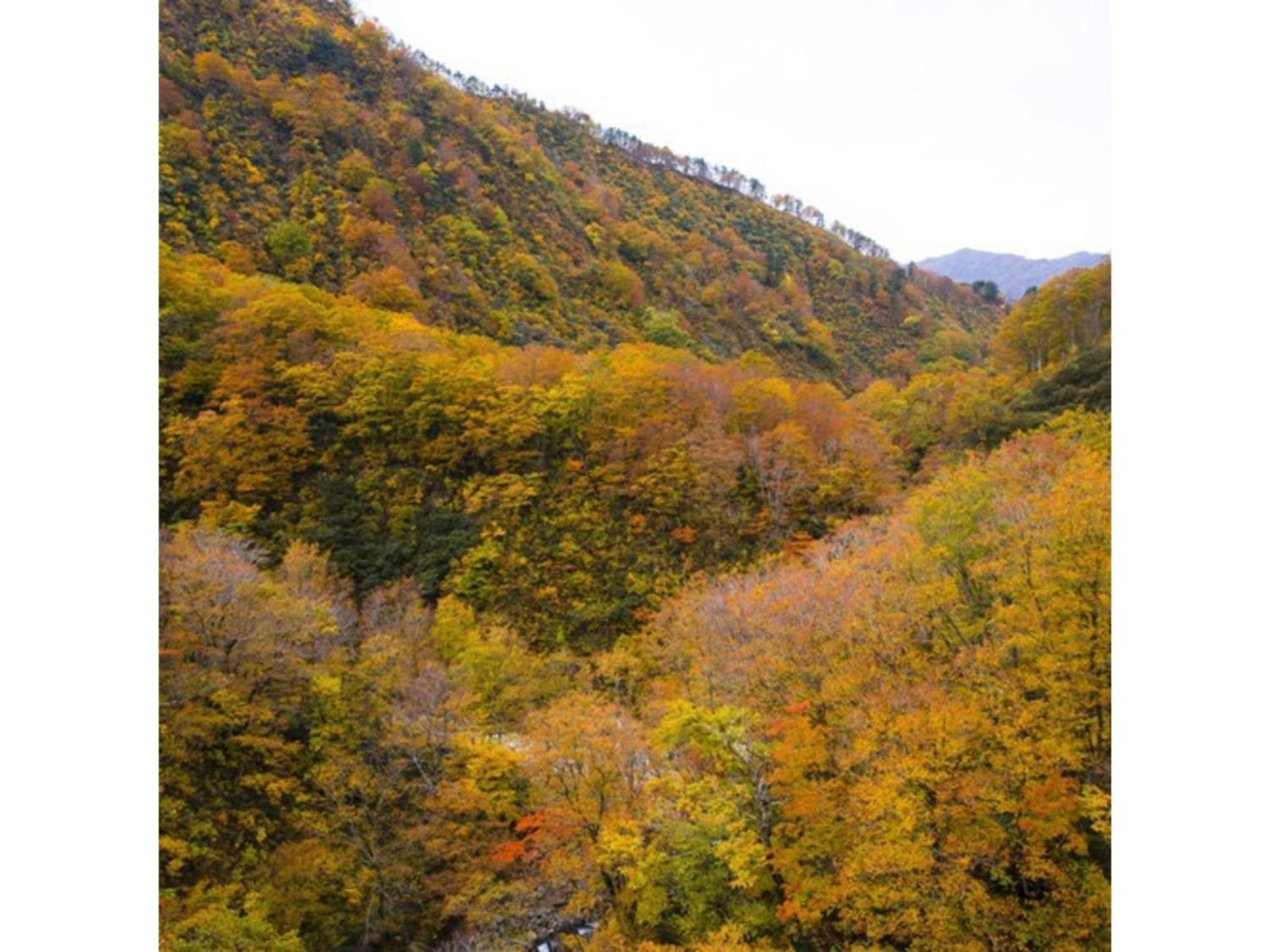 Shintainai Onsen Royal Tainai Park Hotel - Vacation Stay 90212V Kültér fotó